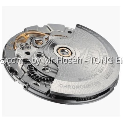 TISSOT BALLADE POWERMATIC 80 COSC LADY T108.208.33.117.00