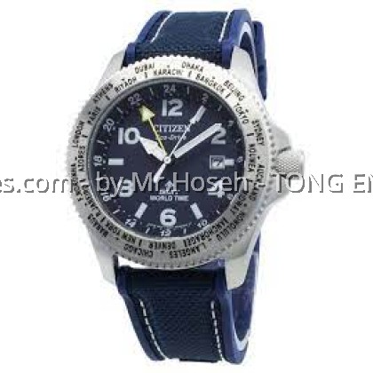 Citizen Promaster Eco-Drive World Timer GMT BJ7100-15L Citizen Promaster Eco-Drive World Timer GMT BJ7100-15L