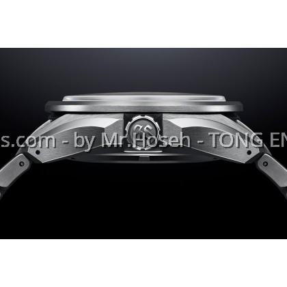 Grand Seiko Evolution 9 Collection SBGE283G GMT Titanium 9R Spring Drive