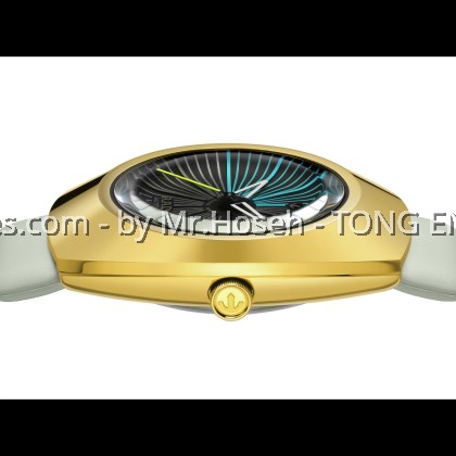 Rado Original Diastar X Tej Chauhan Special Edition R12165155
