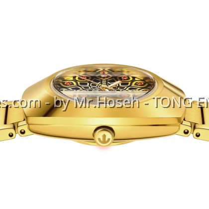 Rado DiaStar Lady Original Automatic Ceramos R12171653