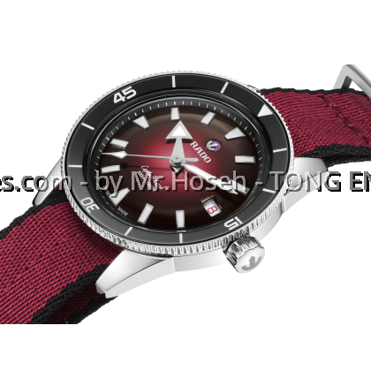 Rado Captain Cook 39mm Automatic Stainless Steel Watch R32223408 Rado Captain Cook 39mm Automatic Stainless Steel Watch R32223408